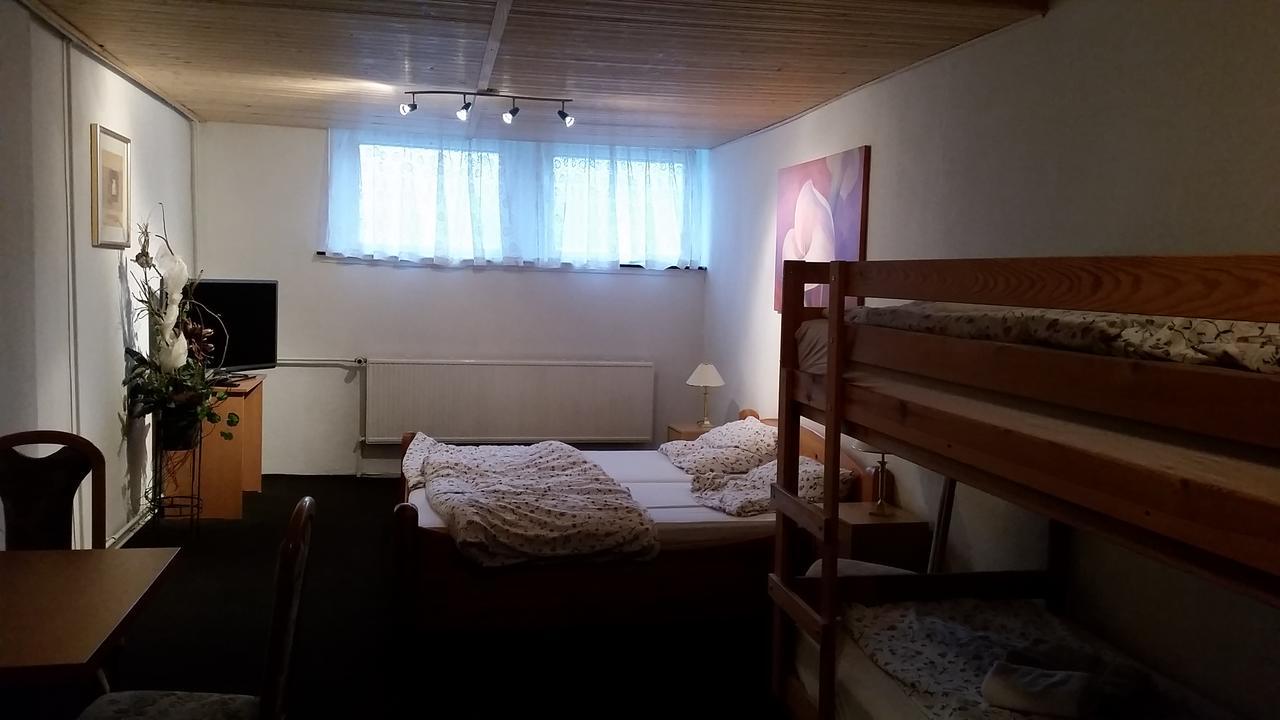 Pension Und Restaurant Die Burg Ehrenfriedersdorf Buitenkant foto