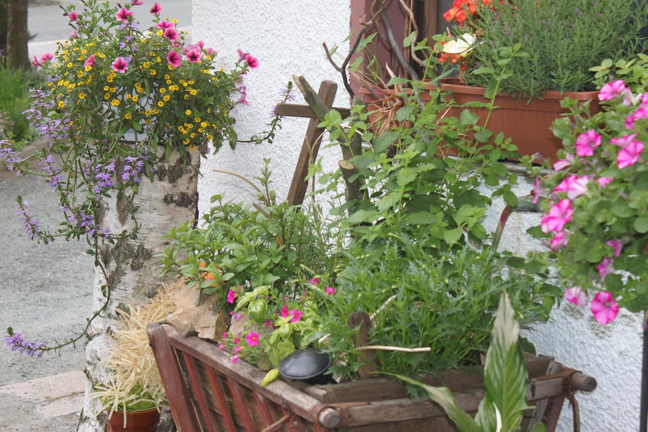 Pension Und Restaurant Die Burg Ehrenfriedersdorf Buitenkant foto